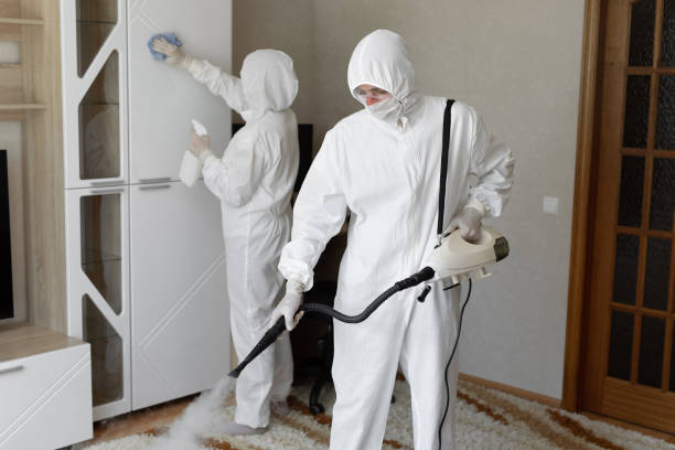 Reliable Brooklyn, IA Mold Remediation Solutions