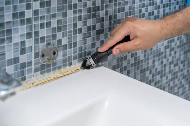 Best Emergency Mold Remediation in Brooklyn, IA