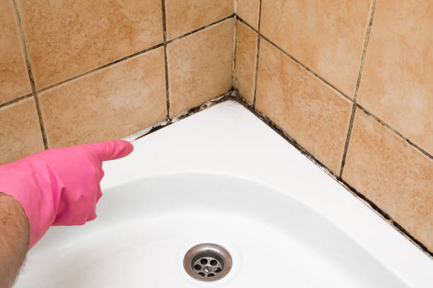 Brooklyn, IA Mold Remediation Company